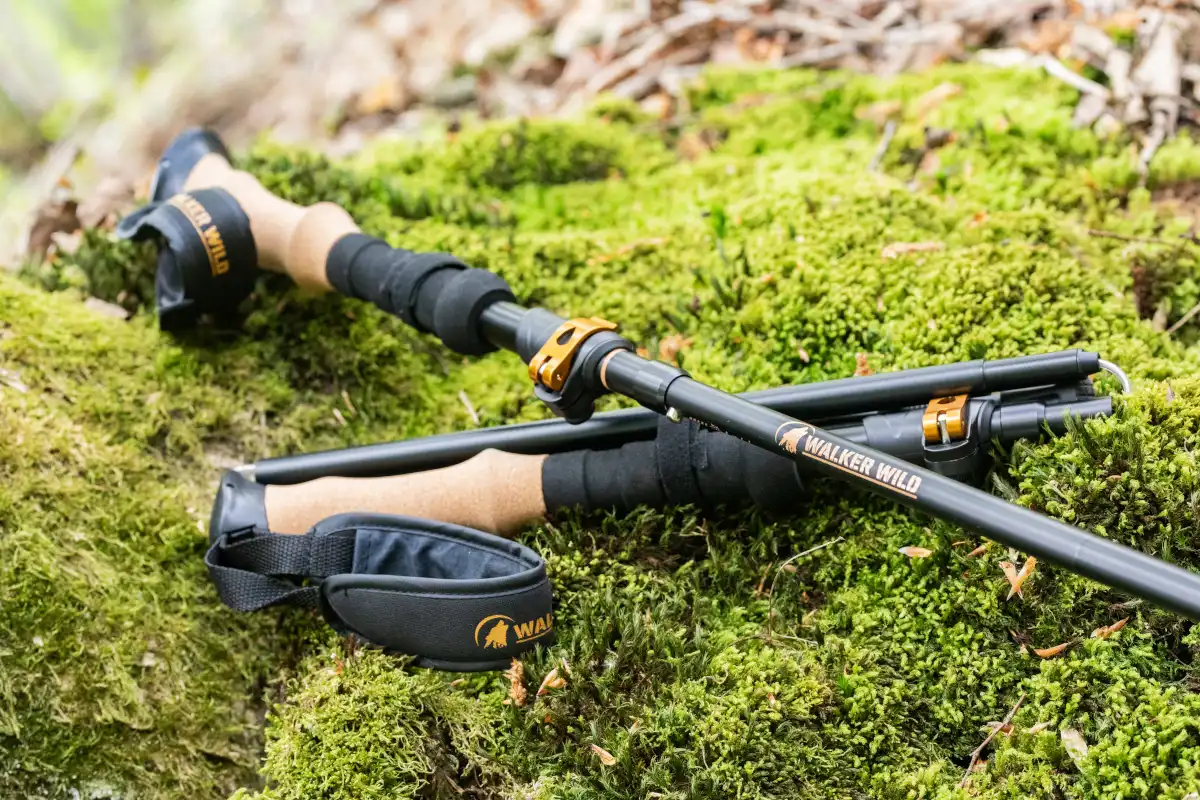 Paire de bâtons de trekking pliables Walker Wild Summit Z1