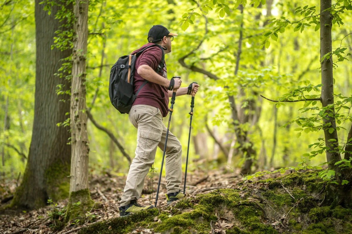 Randonneur marchant en pleine forêt