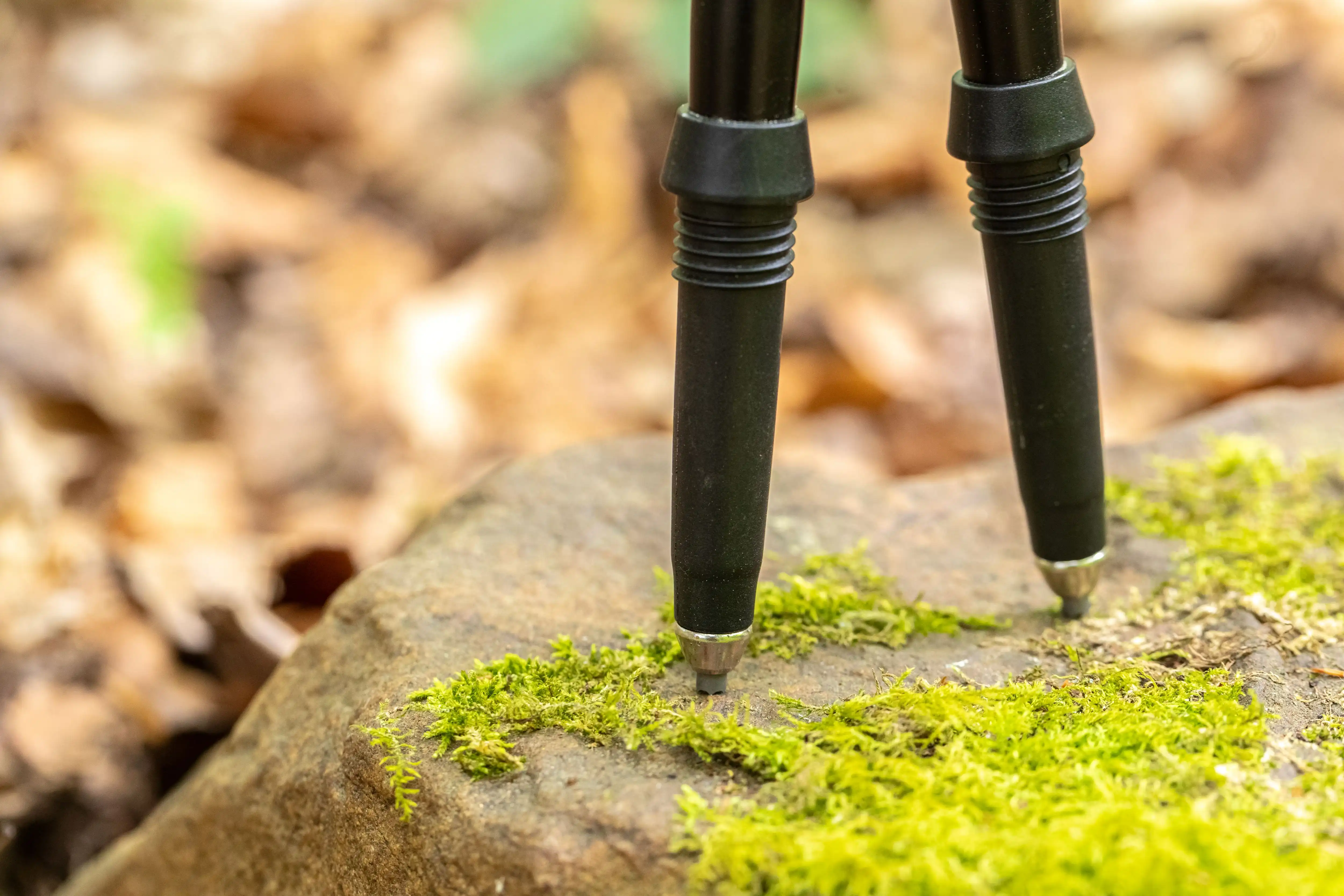 pointes carbure